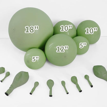 Dusty Green Double Stuffed Balloons Different Size 115Pcs 5/10/12/18" Sage - Image 3