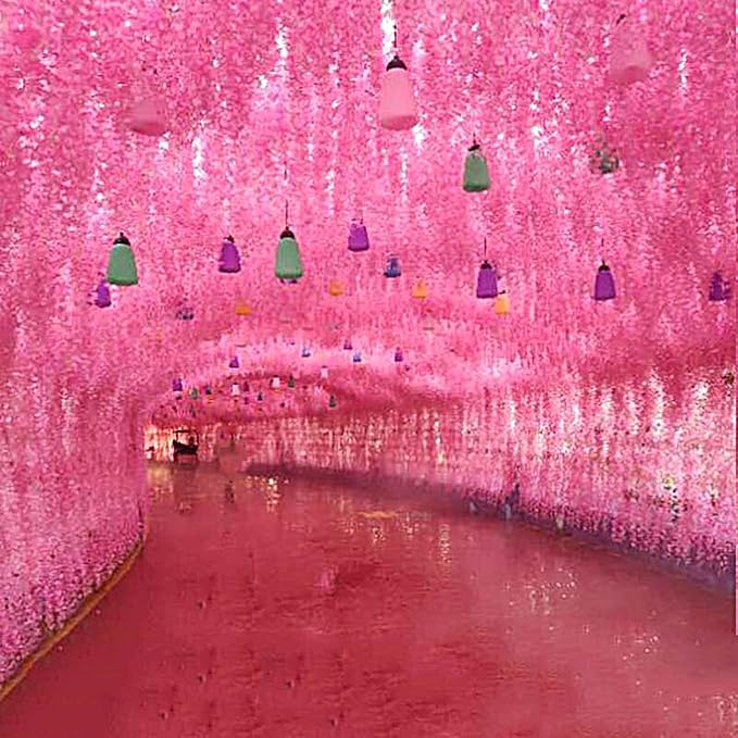 Artificial Wisteria Hanging Flowers Fake Wisteria Flower Garland Silk Vines - Image 7