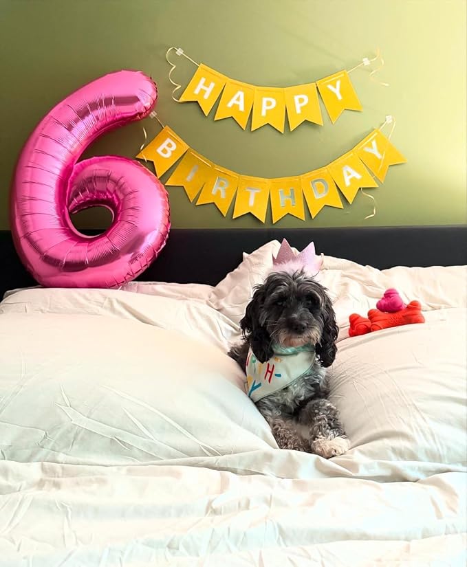 6 Balloon - Pastel Blue Birthday Number Balloons, 40 Inch Decorations | Pastel - Image 7