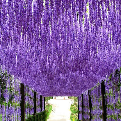 Artificial Wisteria Hanging Flowers-Fake Wisteria Flower Garland Silk Vines - Image 9