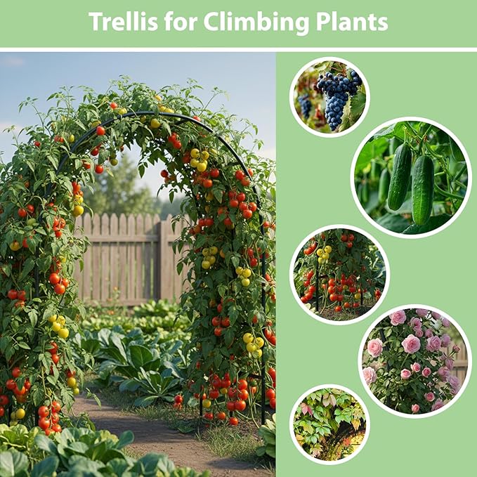 RUBFAC 7.8ft Garden Arch, Metal Trellis - Image 4